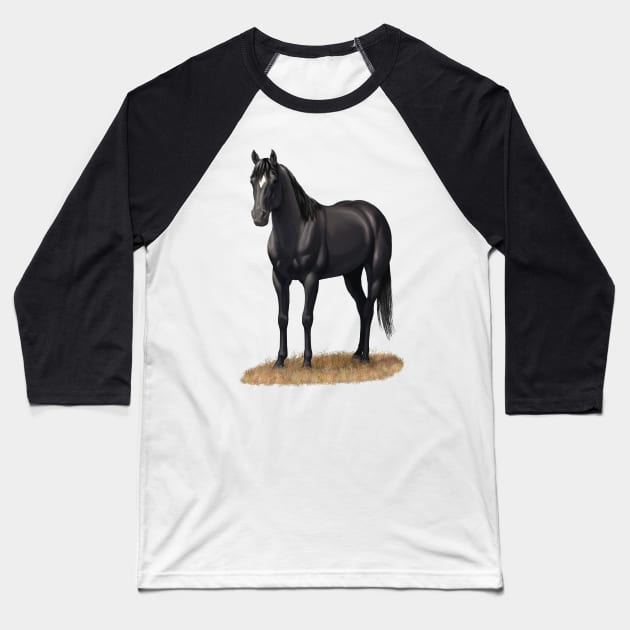 Beautiful Black Quarter Horse Stallion Baseball T-Shirt by csforest